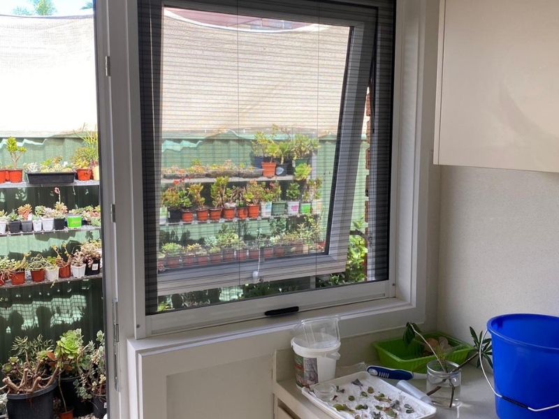 Modern awning windows partially open in a bright room with succulent plants visible on shelves outside.