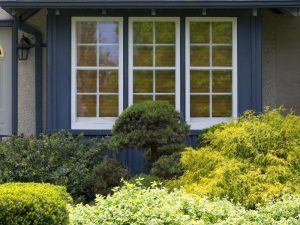 Modern house with French window design framed by lush green garden.